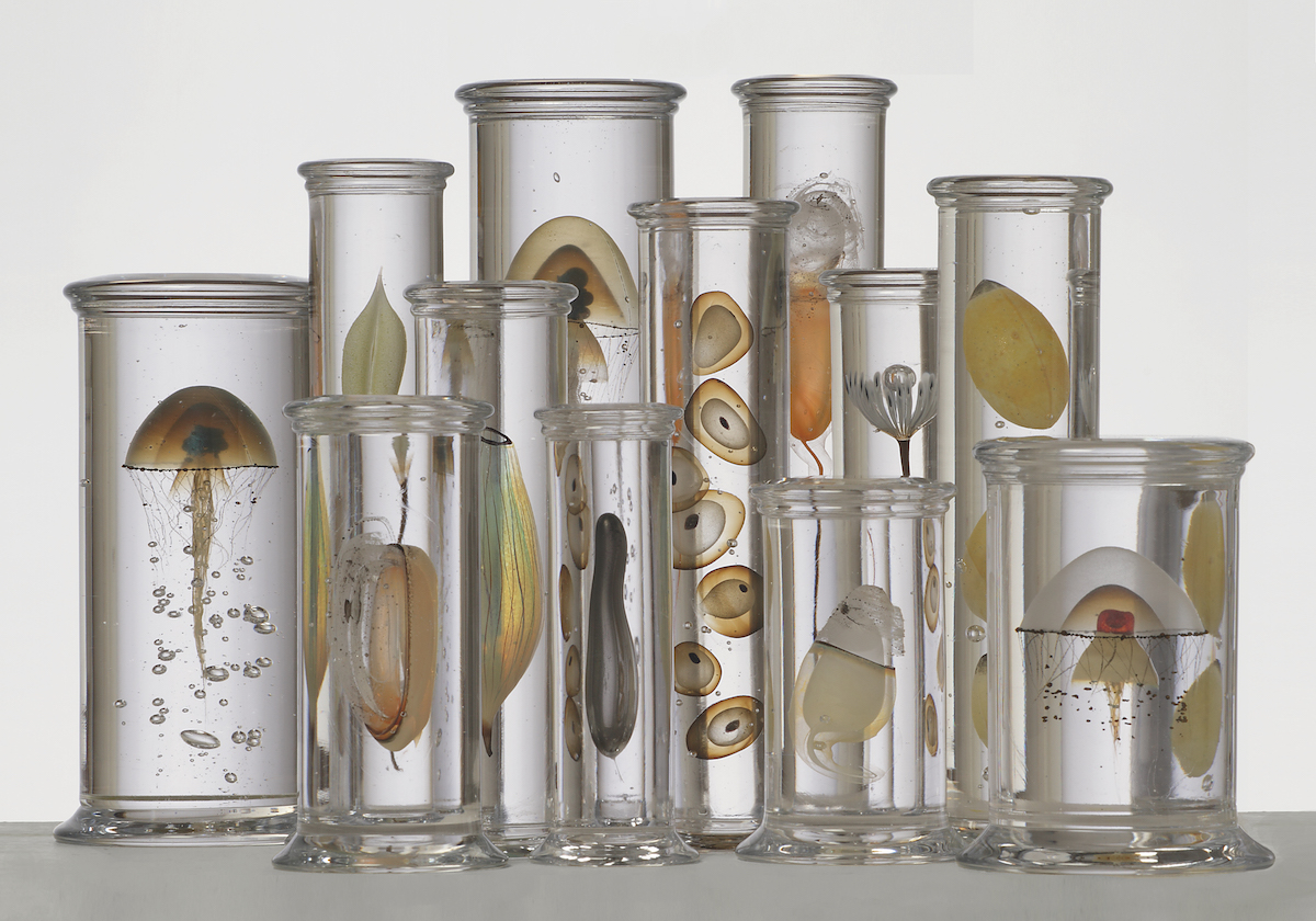 Glassmaker Steffen Dam’s surreal hand- blown and cast glass Marine Life and Jellyfish Jars. Image from Joanna Bird