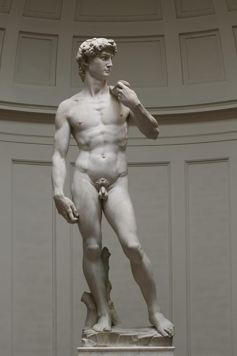 Michelangelo's David