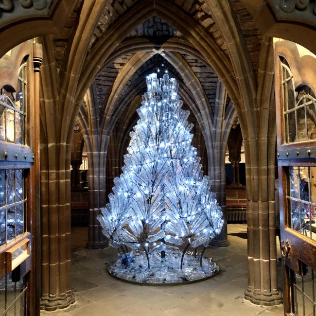 Chester Cathedral Christmas tree by Jacha Potgieter