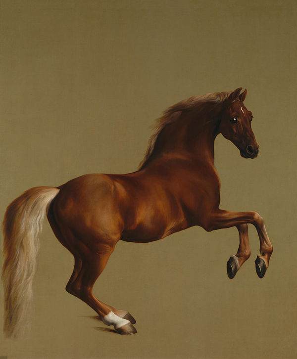  George Stubbs, Whistlejacket, c. 1762. © The National Gallery, London