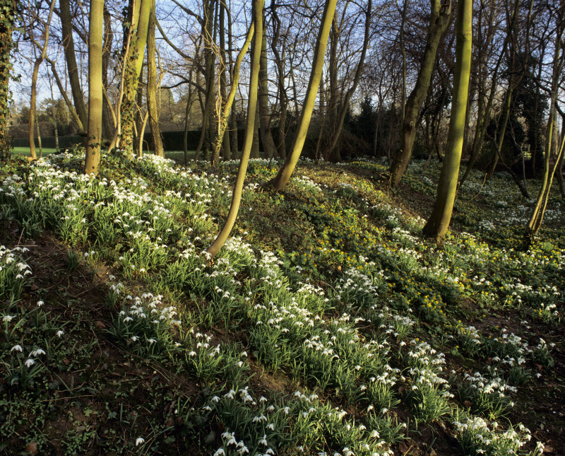 © National Trust Images/Nick Meers