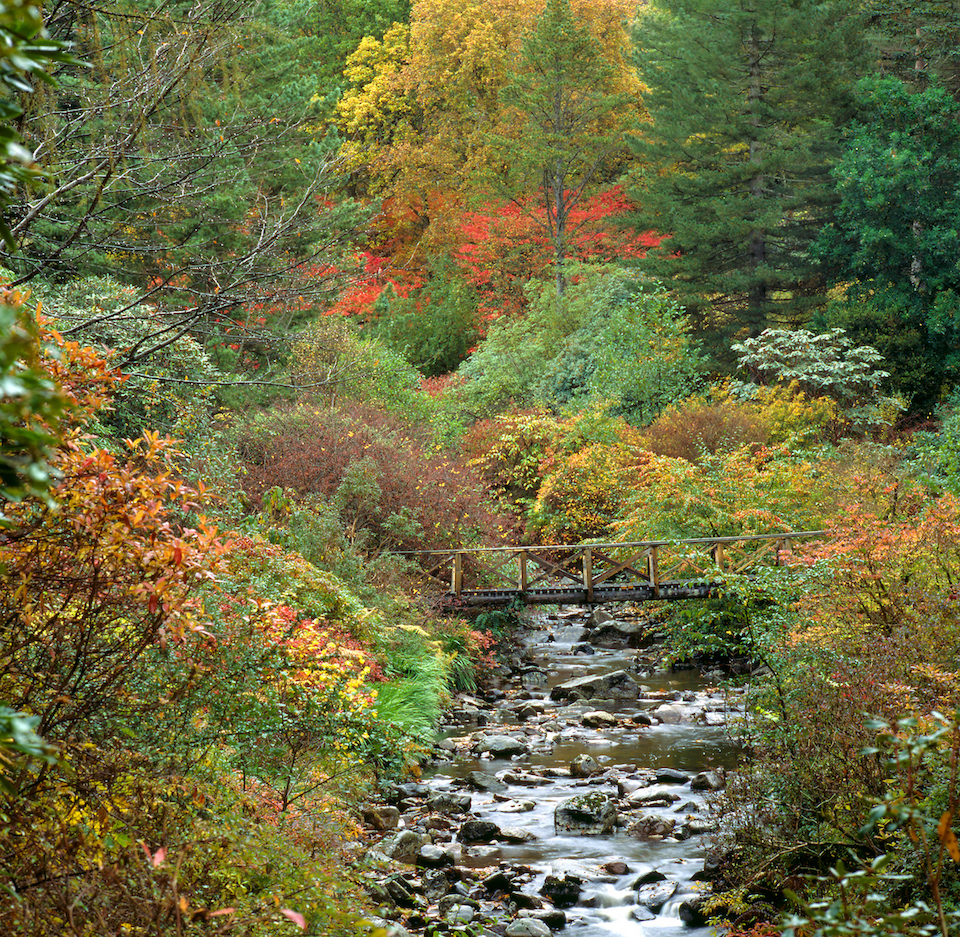  National Trust for Scotland