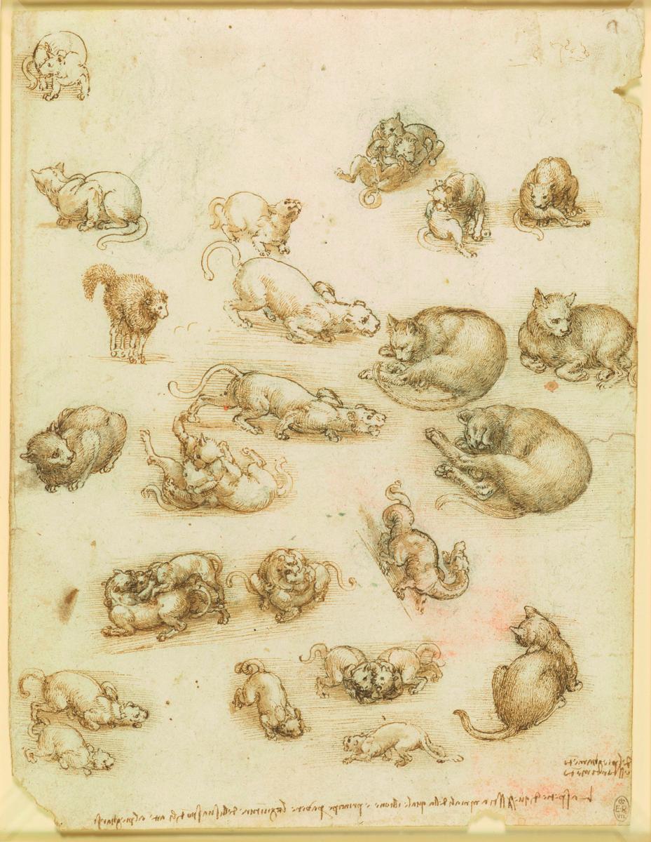 Cats, Lions and a Dragon, c1517-18, Black Chalk, Pen and Ink, Wash