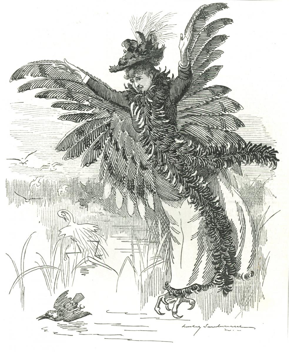 A bird of prey by Edward Linley Sambourne: Punch magazine, 1892