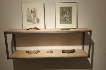 Jeannine Cook at MA Arte Contemporaneo