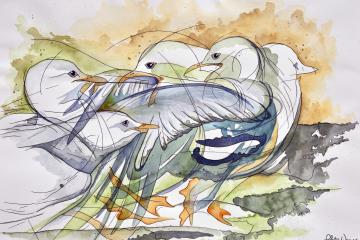 Feathered Fight watercolour painting