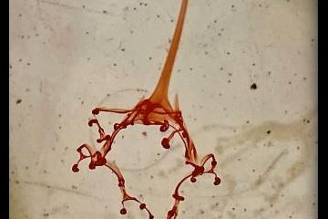 Yuko A Drop of Ink_photo by the artist