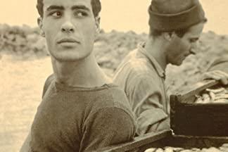 Voices of The Old Sea 