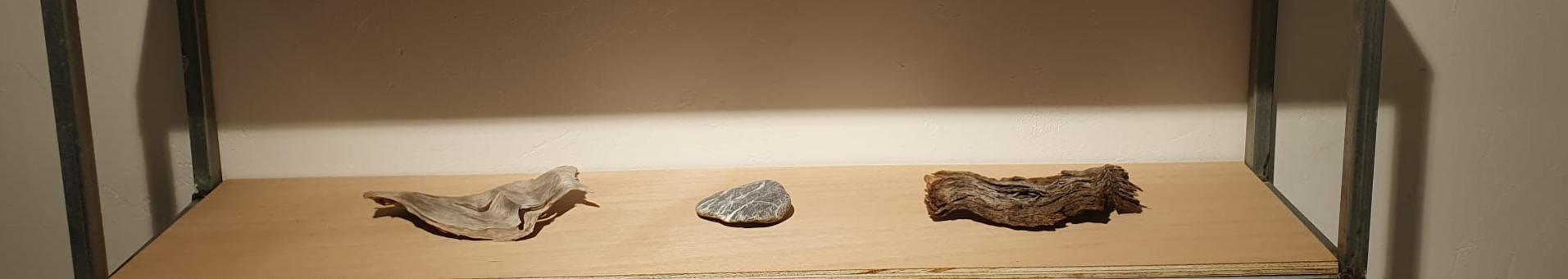 Jeannine Cook at MA Arte Contemporaneo