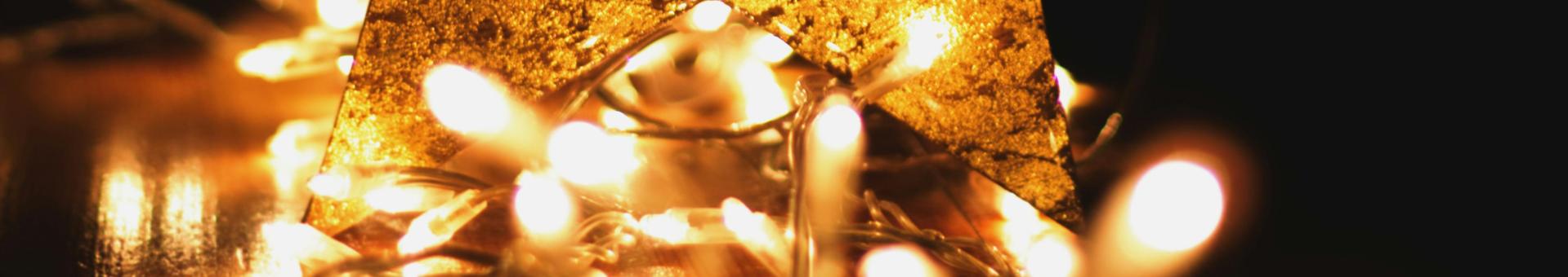 Year in Review The Arts Society Mallorca