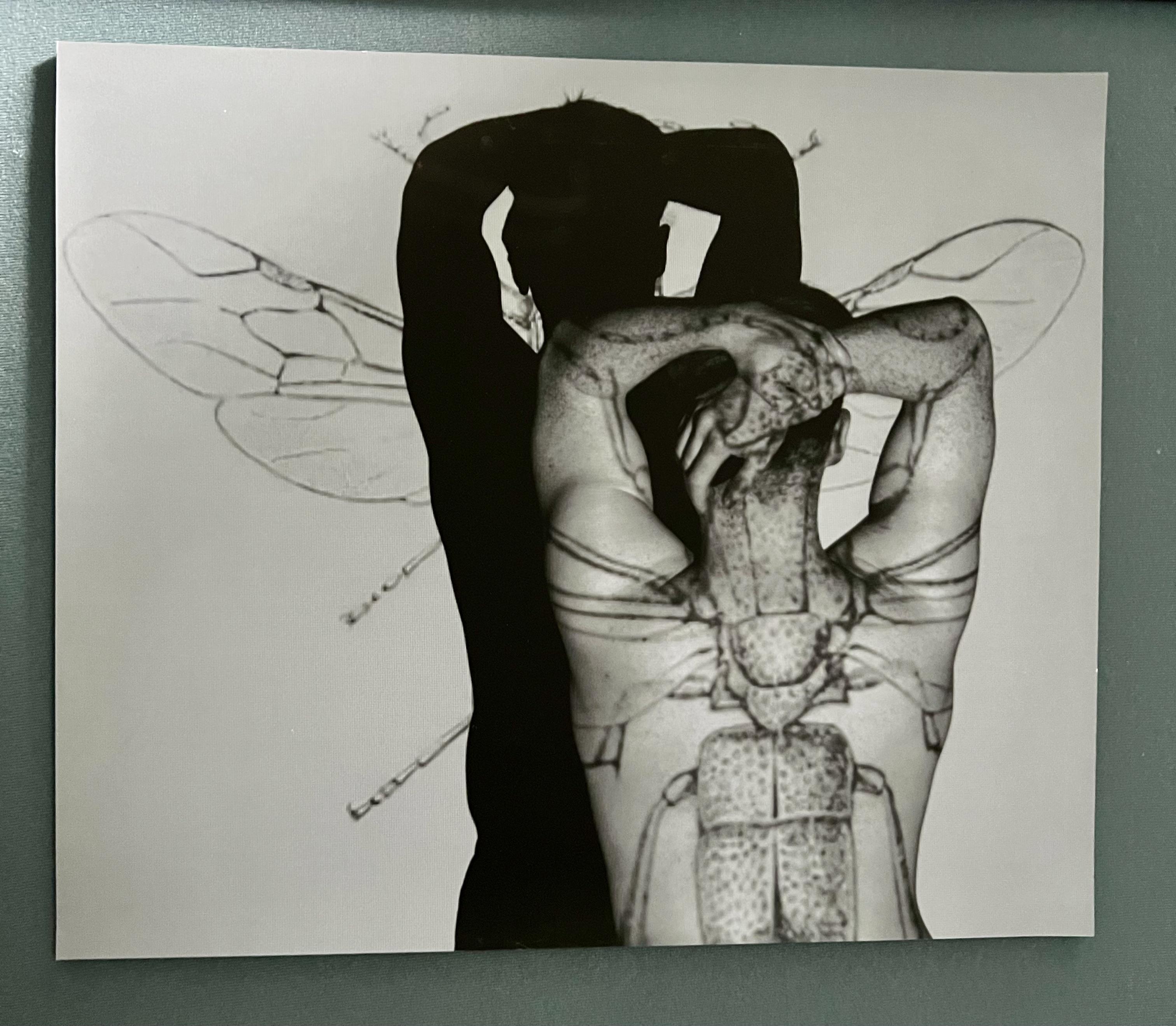 A black and white photographic image of an insect, which has been projected onto a man's bare back