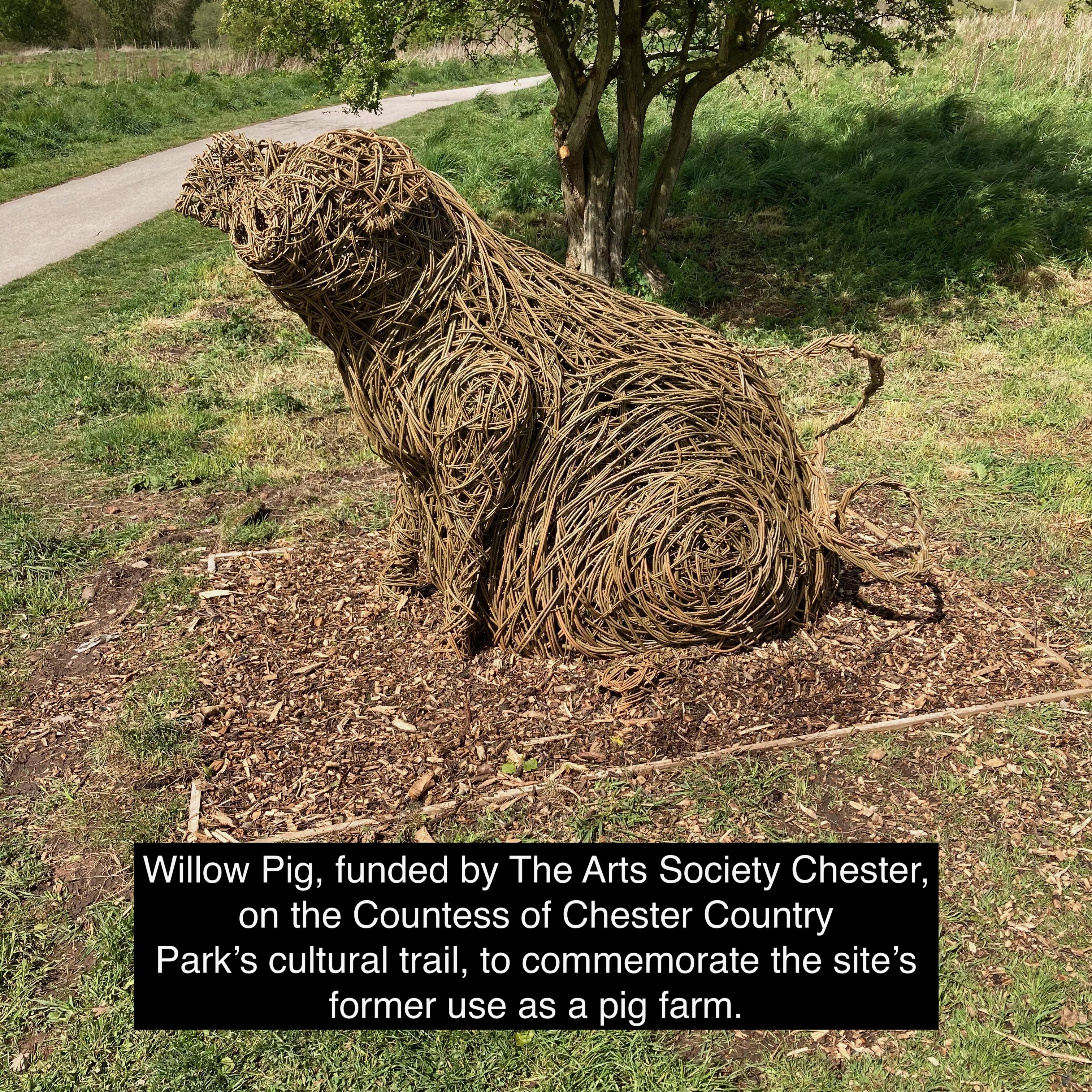 Willow Pig, funded by The Arts Society Chester in Countess of Chester Country Park