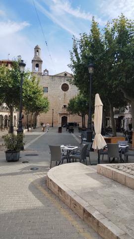 Alaró Day - Photo by Gail Davies