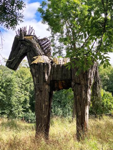 Horse