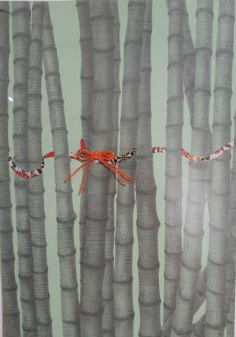 Jeannine Cook at MA Arte Contemporaneo
