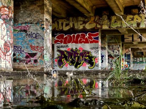 A digital photograph of graffiti, reflected in water 