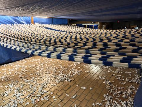 Teixits Vicens Pollenca_photo by Eddie Erlank