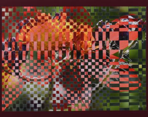 joint 2nd prize - Lily Jasper-Orchard Emerging Artist Award 2025